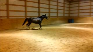 Allie Stumble---(Occurs at 50 seconds in)