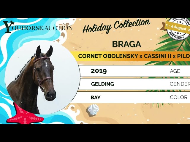 Braga