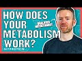 What Is Metabolism? Can You Change Your Metabolism? | Nutritionist Explained | Myprotein