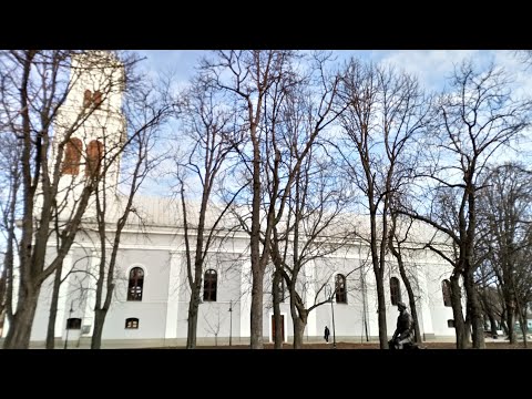 Statuia lui Janos Arany (Parcul cu statui - Salonta) 🗿 The statue of Janos Arany (Salonta)