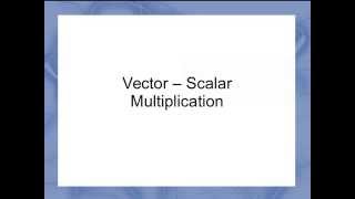 Vector Scalar Multiplication