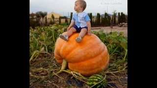 DE VEZ EN CUANDO LA VIDA JOAN MANUEL SERRAT