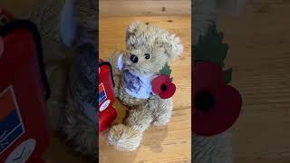 Little House Bear gets ready to help selling Poppies for Remembrance Day.