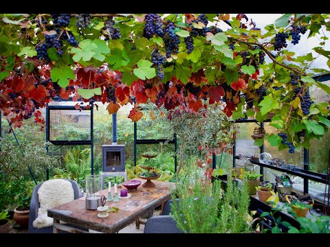 Få sydlandsk undertag i drivhuset