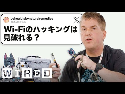 ハッカーだけど「侵入テスト」について質問ある？| Tech Support | WIRED Japan