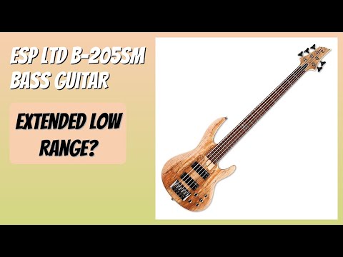 REVIEW (2026): ESP LTD B-205SM Bass Guitar. Features