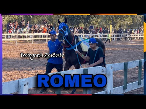 ROMEO hípico el chuma, campo gallo, sgo del estero