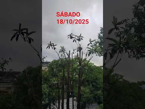 SÁBADO EM JANDIRA SÃO PAULO,,,BORA VER