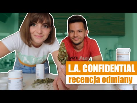 💚 MEDYCZNA MARIHUANA: AURORA 20/1 (L.A. CONFIDENTIAL) 🍀 – OPIS I RECENZJA ODMIANY