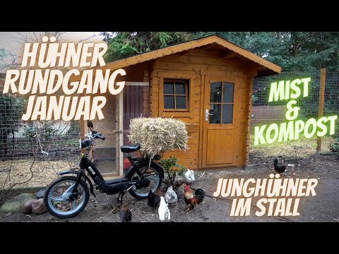 Hühner Rundgang Januar - Eingewöhnung von Jungtieren, Kompostierung von Hühnermist, Eier im Winter