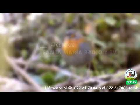 BUENOS DÍAS AYSÉN | Paulina Zapata, concejala Comuna de Cisnes