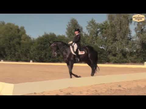 Danzador - Wietmarschen (S-test)