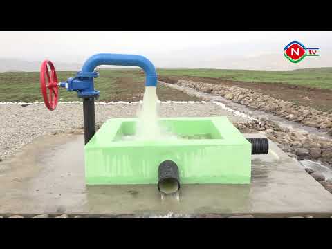 Günün tələbi- 02.06.2021