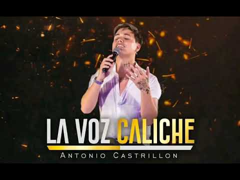 Lo mejor de La Voz Caliche (Antonio Castrillón Jr).
