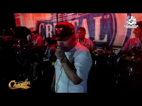 Chacalon Jr - Señor, Ten Piedad de Mí - Rumba en Venecia - 2024