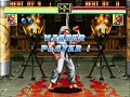 Art Of Fighting Mr Karate Win Pose