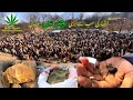 Tirah Maidan Charas Mandi Pakistan Asia S Largest Marijuana Market Mandi In Pakistan