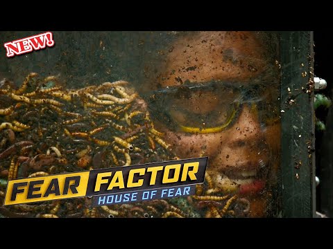 MOST EXTREME REALITY SHOW EVER?! 🔥 Fear Factor: House of Fear (2026) Full Breakdown
