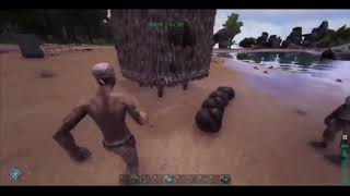 ARK 没シーン集