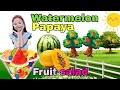 Fruit Salad Song Lyrics Watermelon Song For Kids Watermelon Papaya Song Lyrics