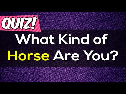 YouTube video about: What horse breed am I quiz?