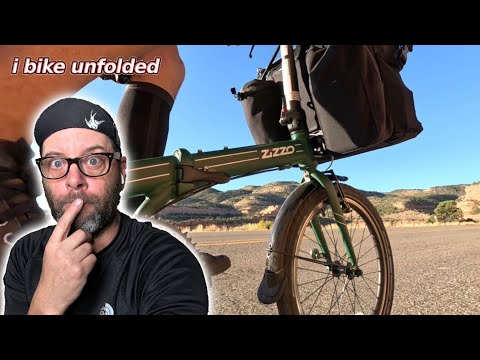 My thoughts on the 2023 Zizzo Forte