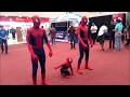 Gemelos Hombre Araña / Spider-Man haciendo acrobacias