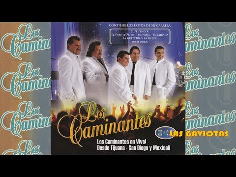Los Caminantes - Las Gaviotas (Canción Completa)