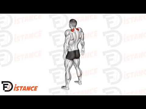 Exercice Shrugs à vide