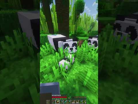 EPIC 1.19 Minecraft Realms - Mind-blowing Shaders & Mods - Insane Survival Madness!