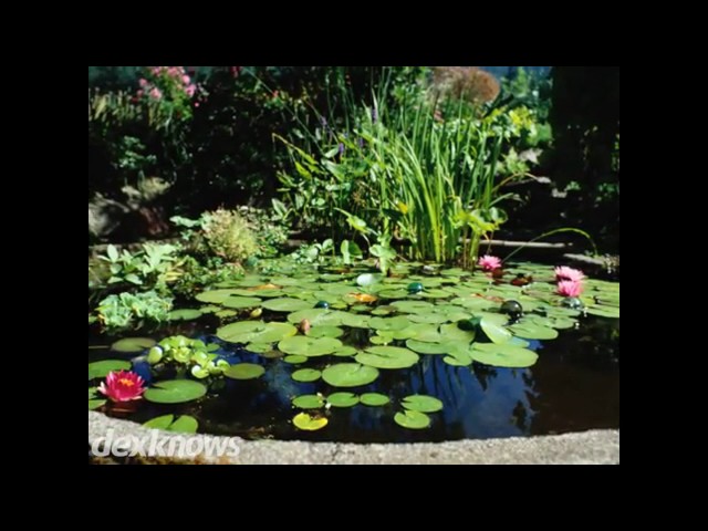 Escape Garden Design - Aspen, CO