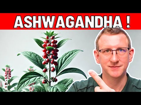 Das passiert, wenn Du täglich Ashwagandha nimmst - faszinierend!