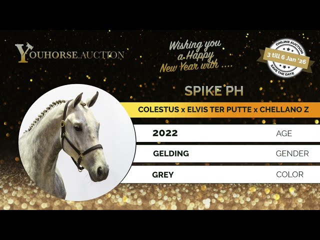 Spike PH lunging