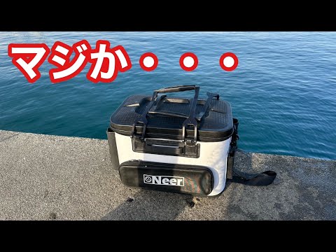 エピペドバテス・アンソニーについて詳しく解説