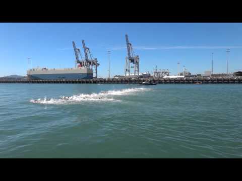 2014 ITU World Triathlon Series Auckland Elite Women Swim Start