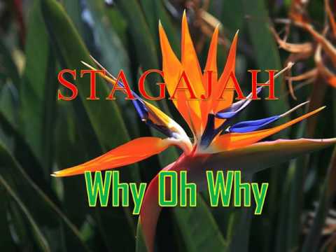 Stagaja - Why Oh why(Kisim Ples Pnis) 2015