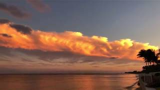 YANNI-No Words Needed Jan-22-2019