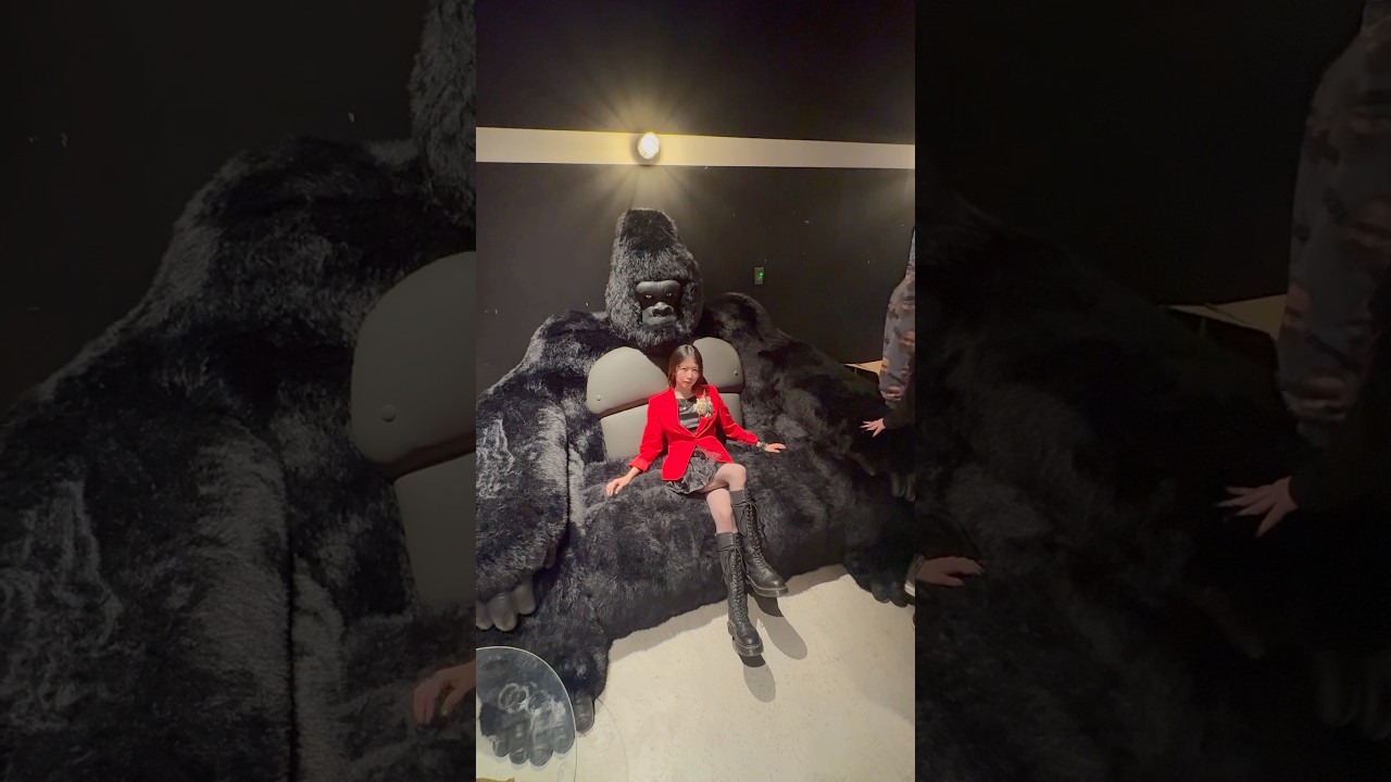 ゴリラソファネキ