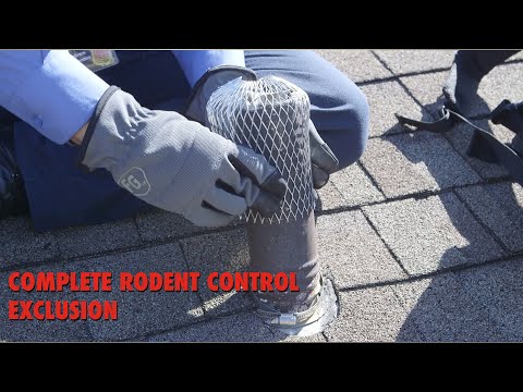COMPLETE RODENT CONTROL - EXCLUSION