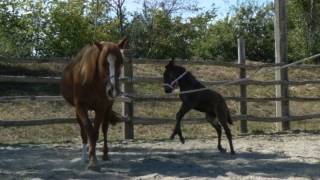 I wanna go too far *first time*