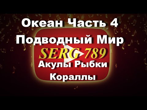 🔴Океан Подводный мир Акулы рыбки кораллы.(Часть 4)🙂 👍✅