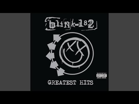 Виниловая пластинка Blink-182 - Greatest Hits 2LP