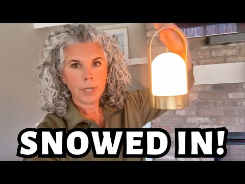 A Peek Inside My Life — Snowed In During Snowstorm Fern ❄️