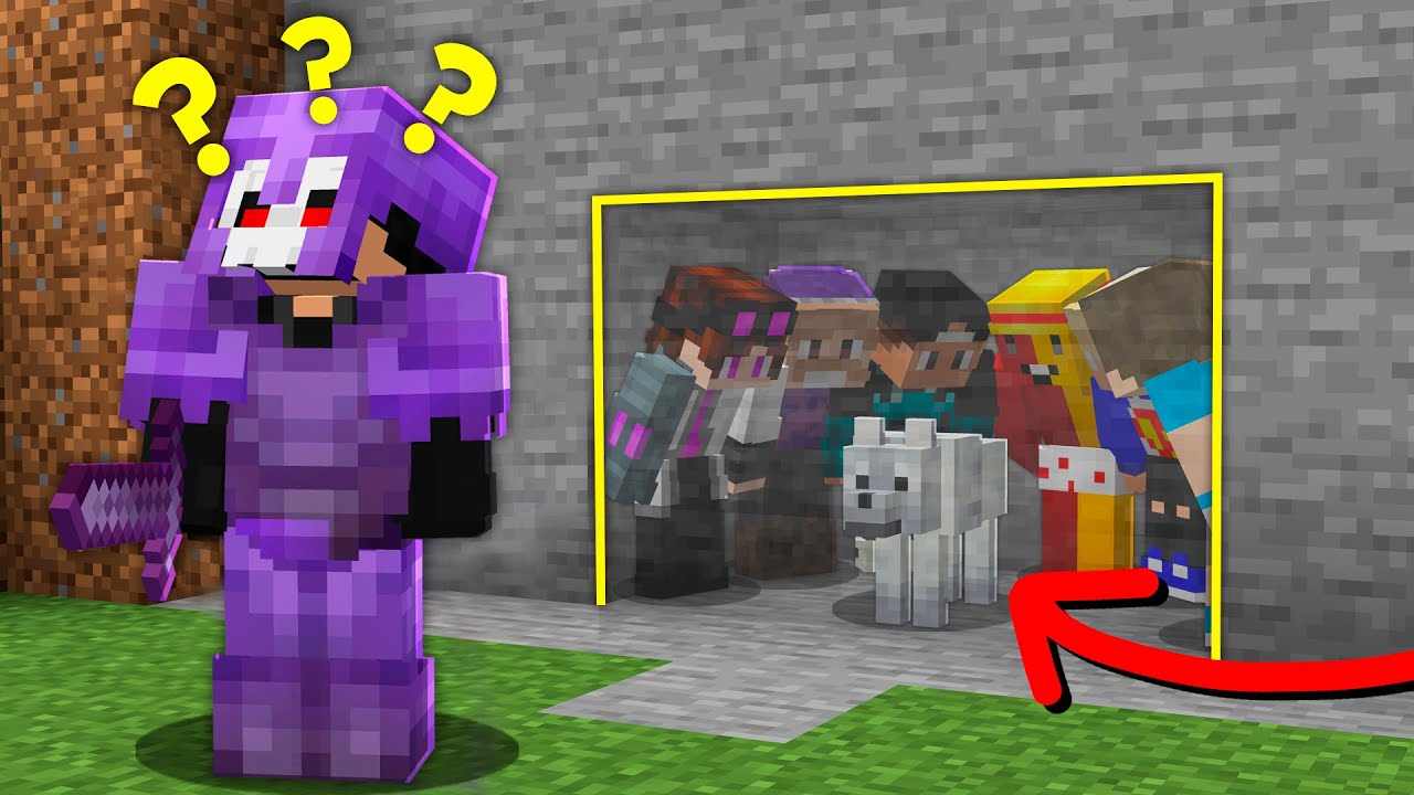 BASE ULTRA SEGURA PARA O MEU PET