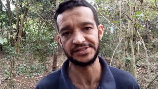 ?home office meio periodo, trabalho home office, Empresa Contratando Meio Periodo Home Office