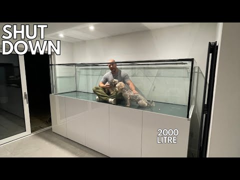 YouTube video about: Where can I buy frozen fish cakes?