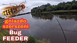 Bug, feeder, jak wybrać miejsce na Bugu , niespodziewany przyłów , gniazdo szerszeni - uciekam