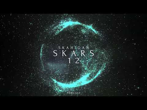 Skars 12 - Patrick Hero - Browncoat - Binaryh - DJ Andy de Gage - shelly.sntk - Tomas Sanchez