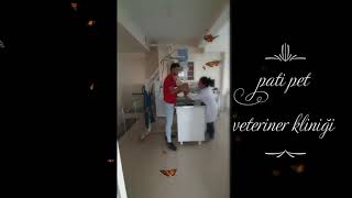 Tatvan Pati Pet Veteriner Kliniği