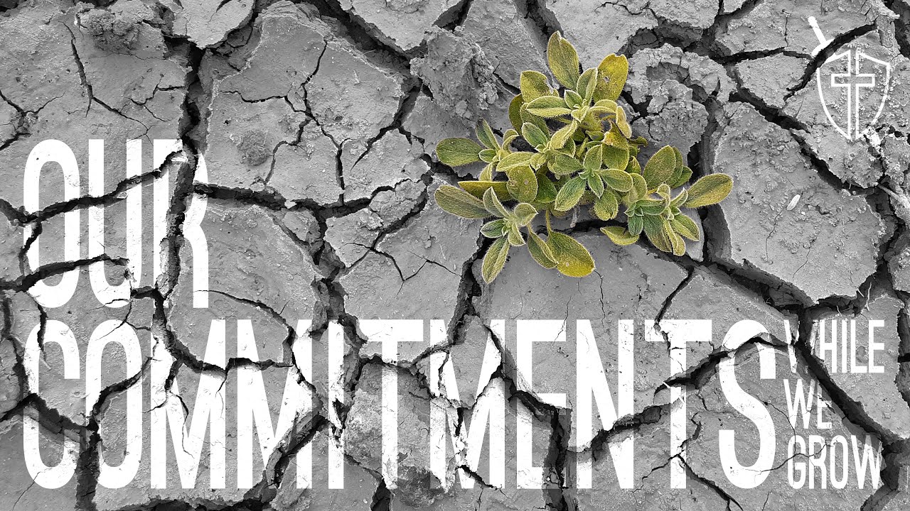 Our Commitments While We Grow